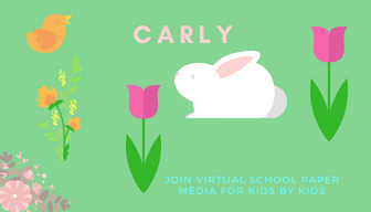 Virtual School Paper Logo