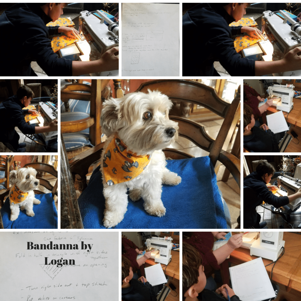 Bandanna by Logan.png