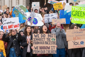 Screen Shot 2019-05-07 at 11.39.12 AM.png